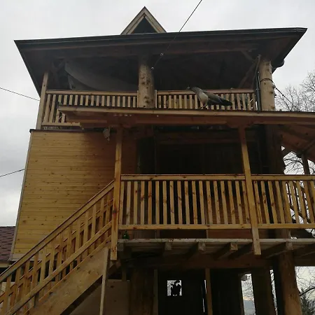 Tree House-2
