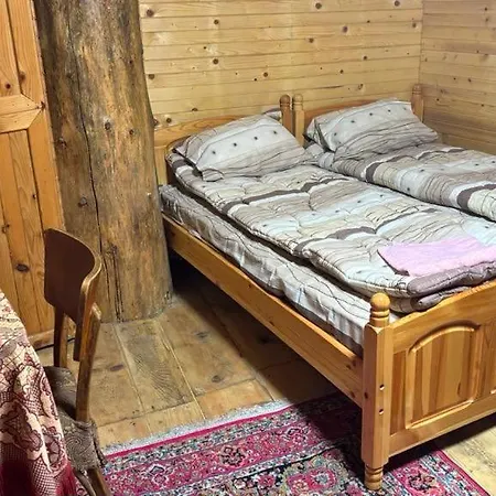 Tree House-3